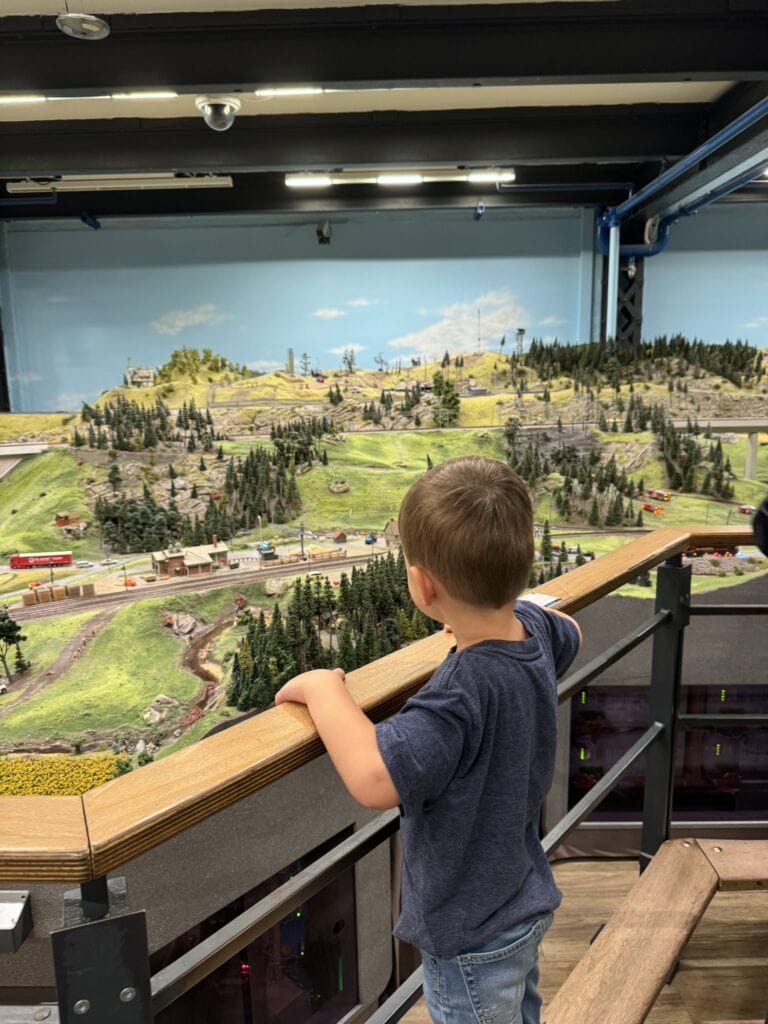A young boy stands at a wooden railing, intently watching an expansive daytime model train display filled with greenery, winding tracks, and miniature vehicles. The brightly lit scene mimics a countryside landscape with intricate detail.