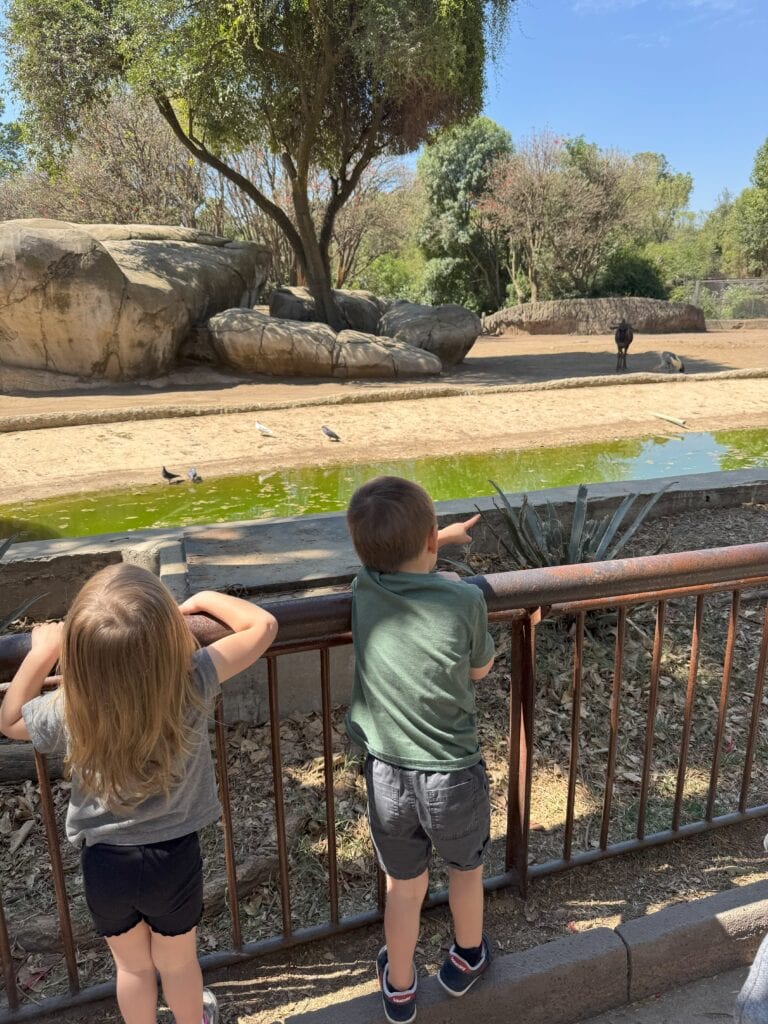 Two young children look into an animal enclosure at Chapultepec Zoo in Mexico City, one of the fun and free things to do in Mexico City with kids. They are pointing at a large black antelope in the distance.