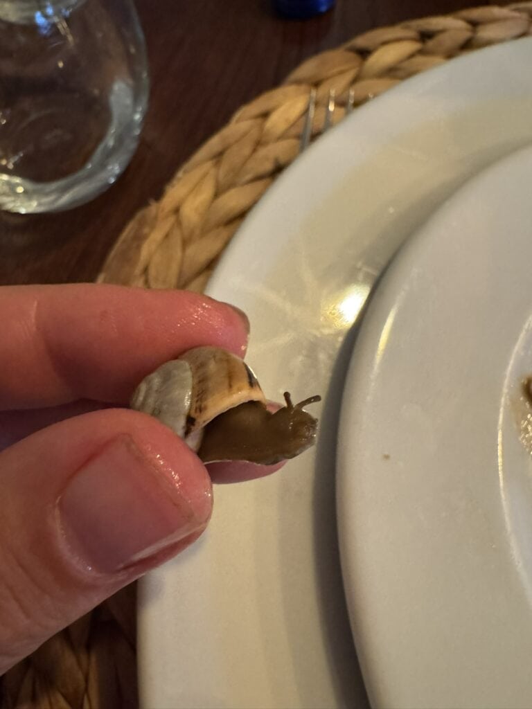 Hand holding a small brown-and-white snail at the dinner table in the Quinta’s dining room.