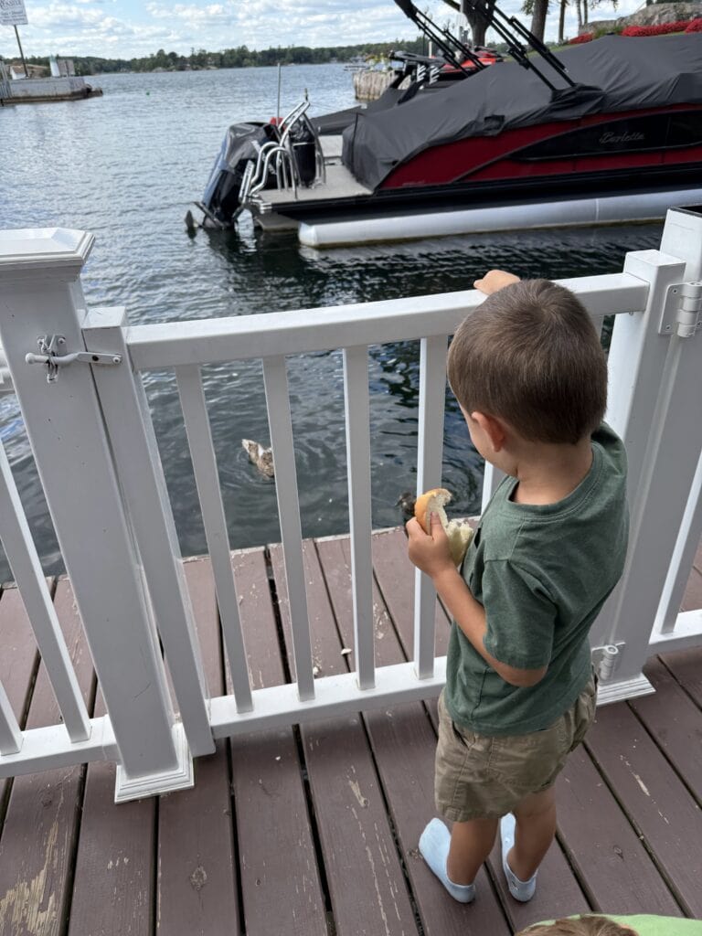 Young child holding bread while watching ducks through an unlocked gate at The Ledges Resort And Marina.