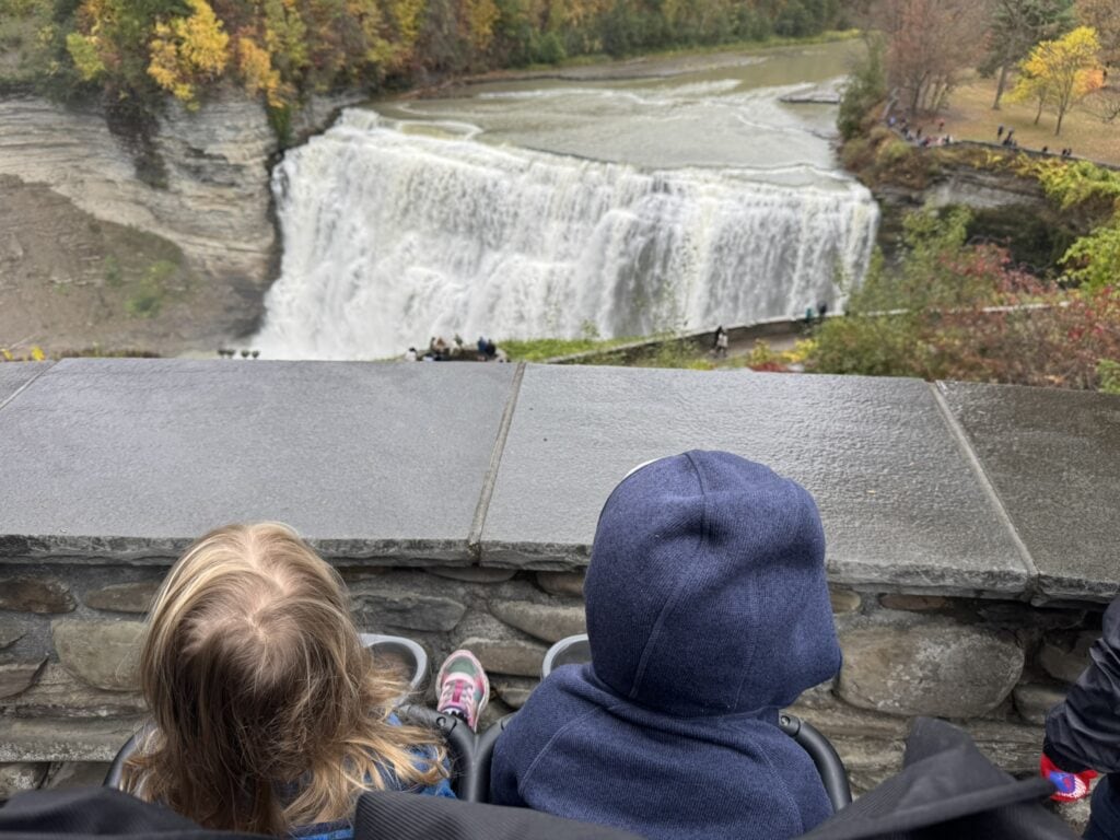 Two toddlers sitting in a double stroller overlooking the large waterfall at Letchworth State Park in New York.
