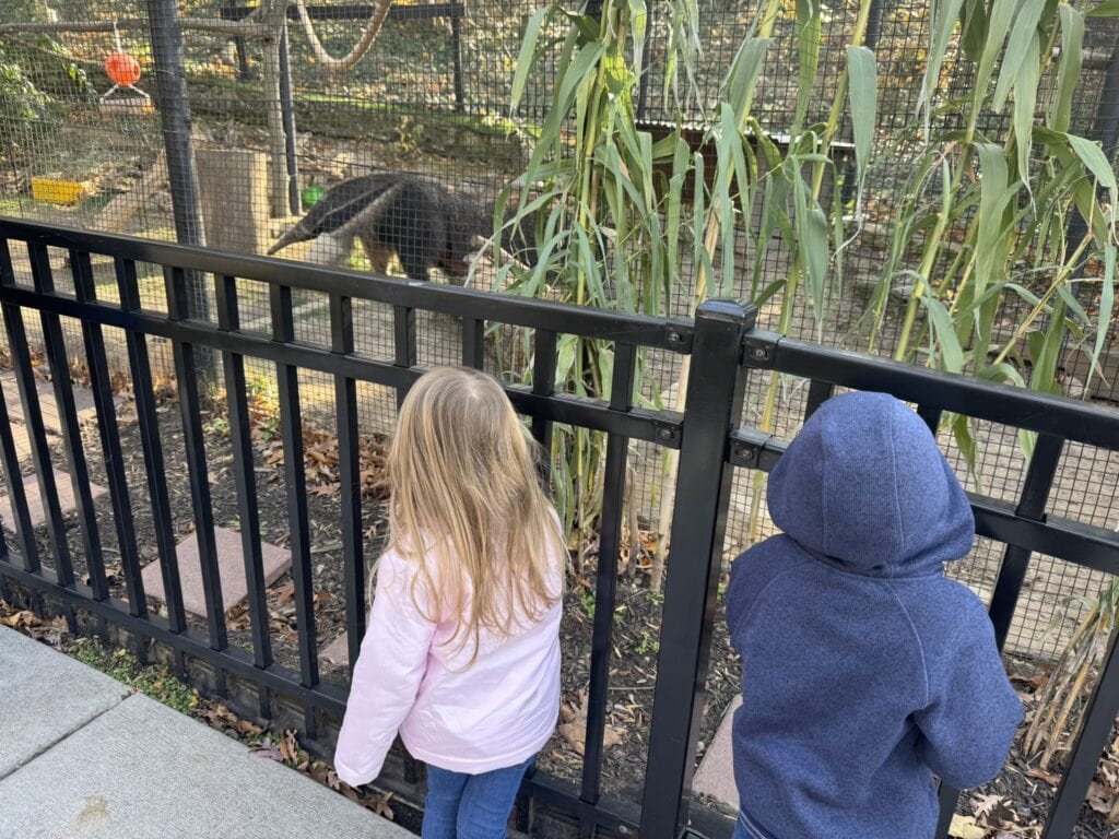 Two young children look through a fence at a giant anteater at the Brandywine Zoo, one of the top attractions in Wilmington Delaware with kids.